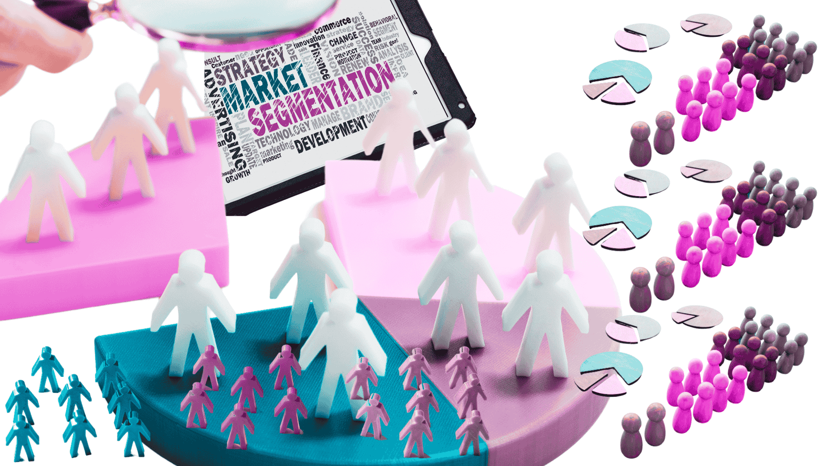 Market Segment Differentiation